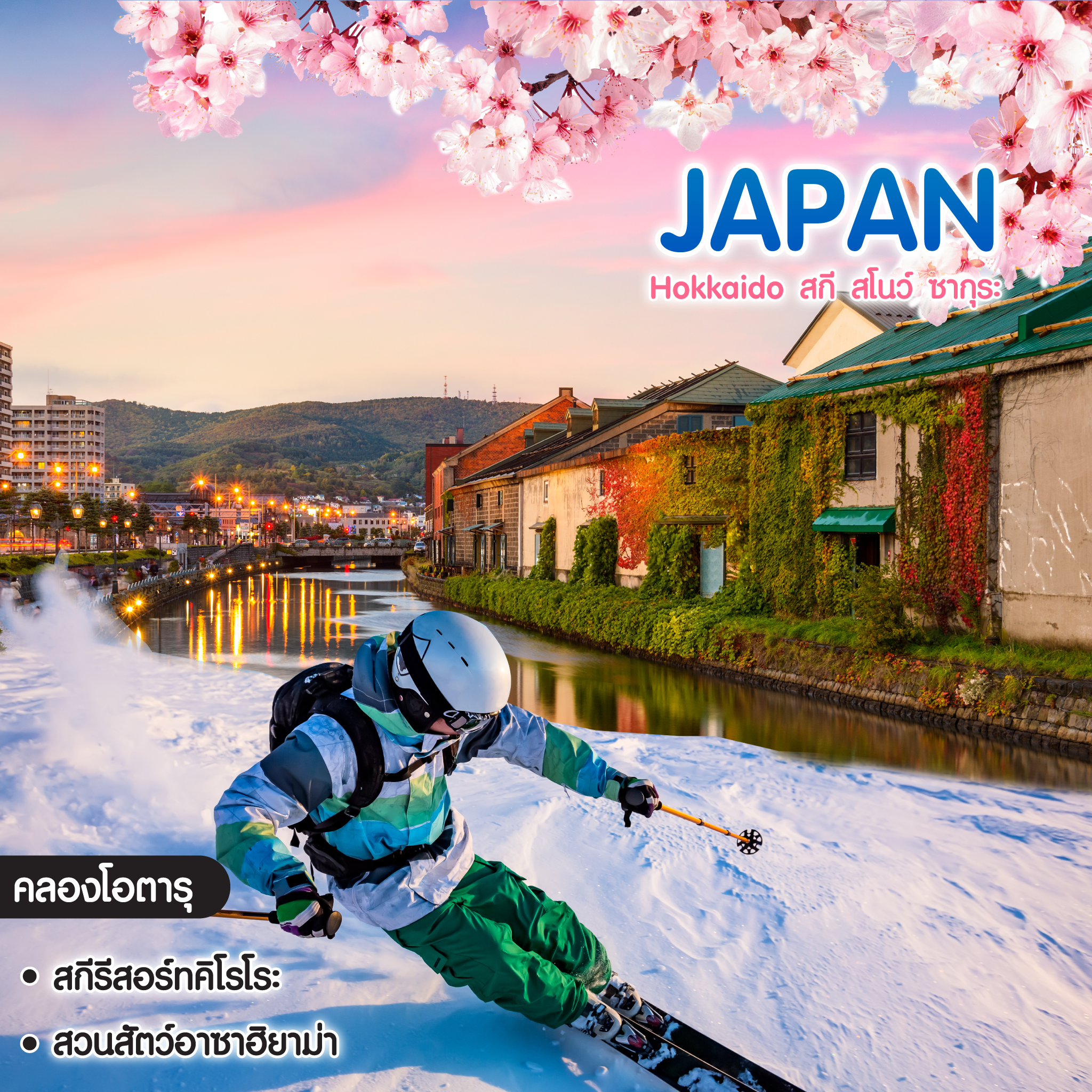 ทัวร์ญี่ปุ่น Hokkaido สกี สโนว์ ซากุระ
