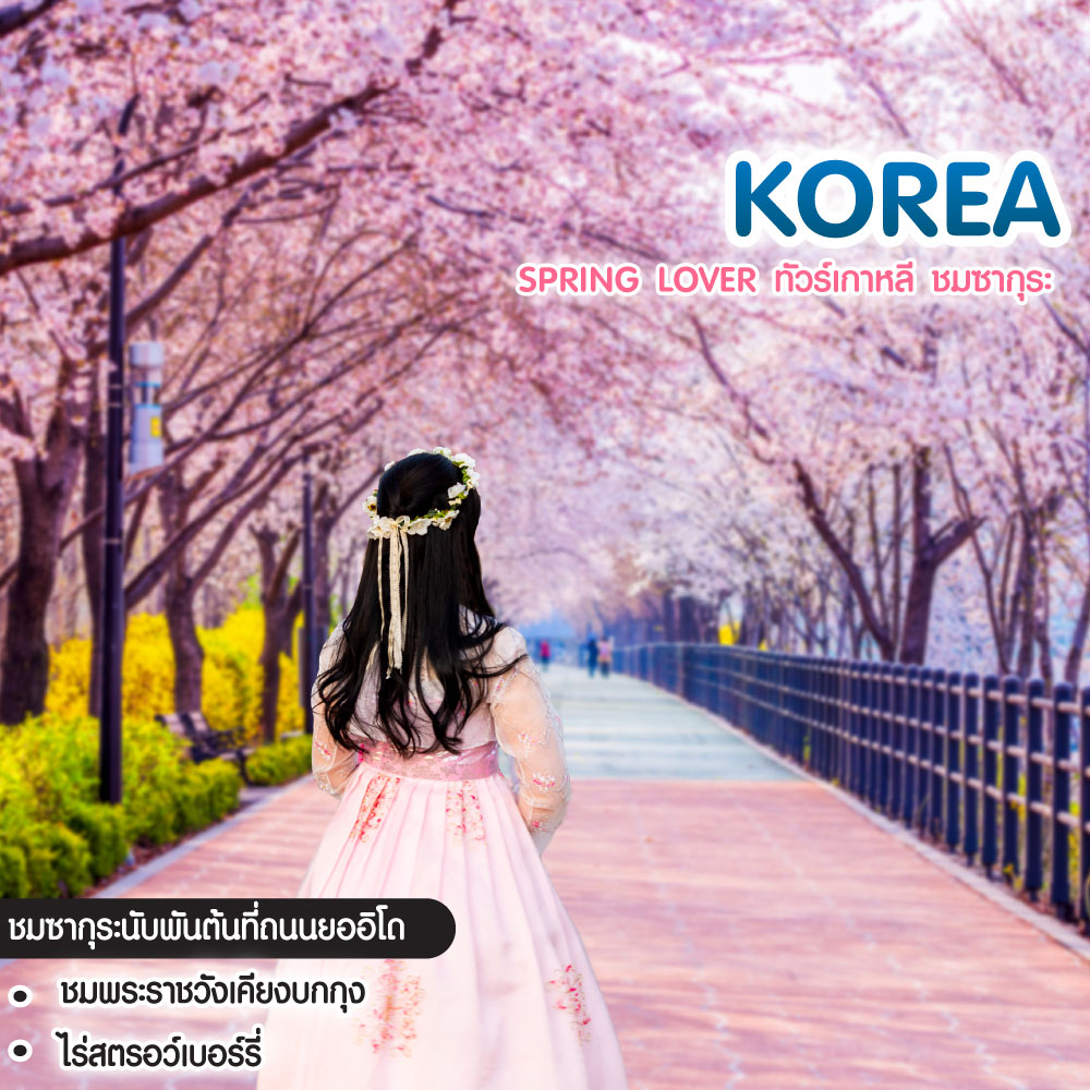 ทัวร์เกาหลี Spring Lover ทัวร์เกาหลี ชมซากุระ