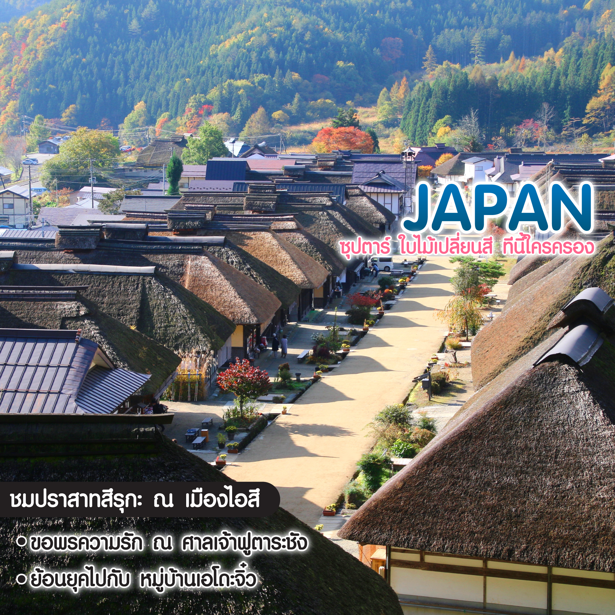 ทัวร์ญี่ปุ่น TOKYO FUJI FUKUSHIMA NIKKO **ซุปตาร์ ใบไม้เปลี่ยนสี ทีนี้ใครครอง
