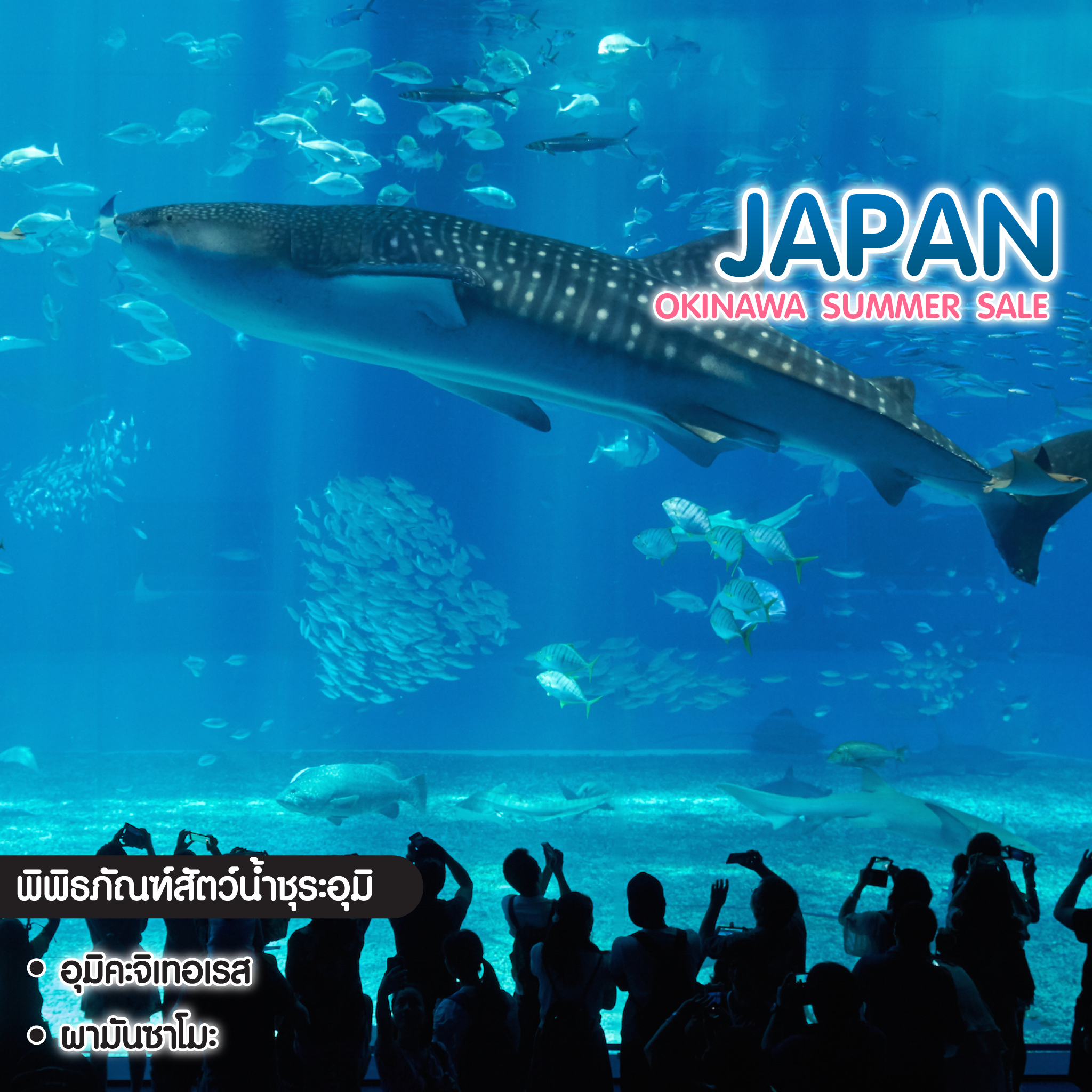ทัวร์ญี่ปุ่น Okinawa Summer Sale