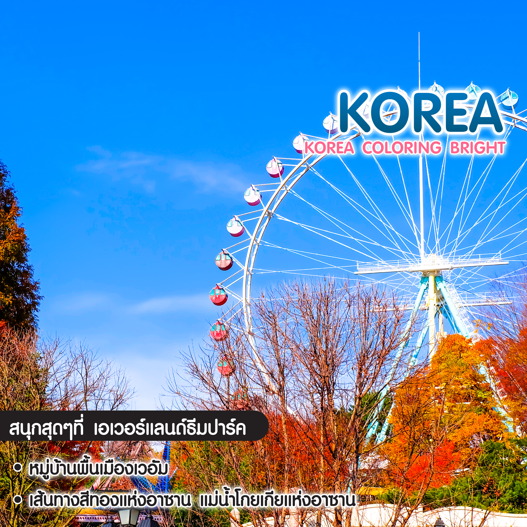 ทัวร์เกาหลี Korea Coloring Bright