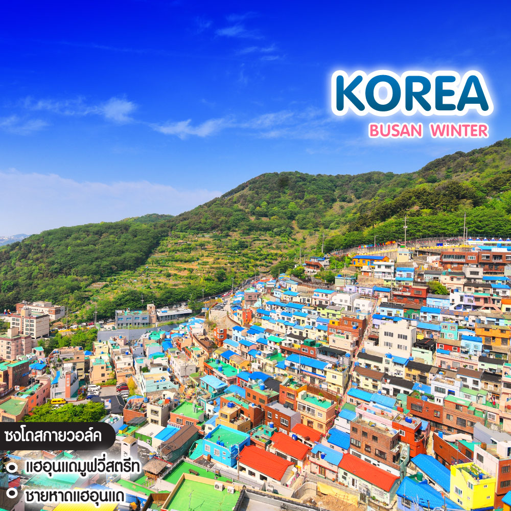ทัวร์เกาหลี Busan Winter