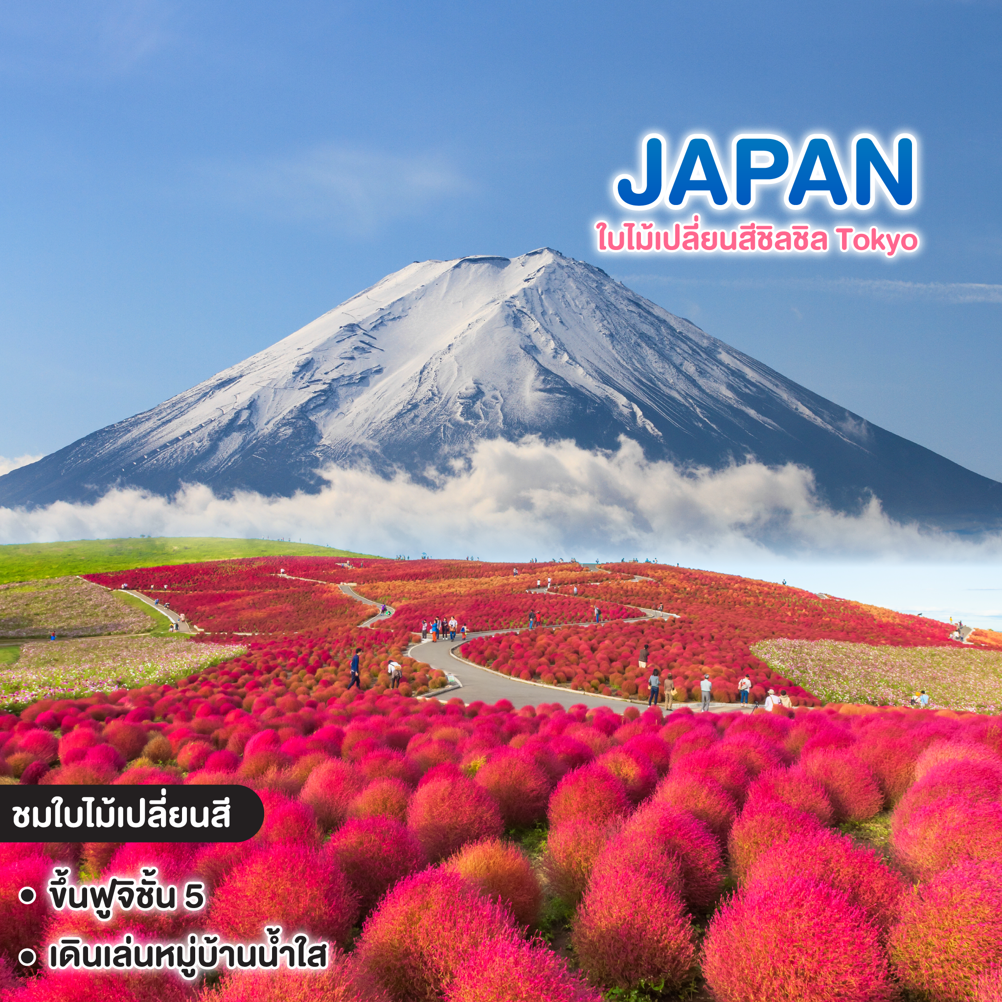 ทัวร์ญี่ปุ่น ใบไม้เปลี่ยนสีชิลชิล Tokyo