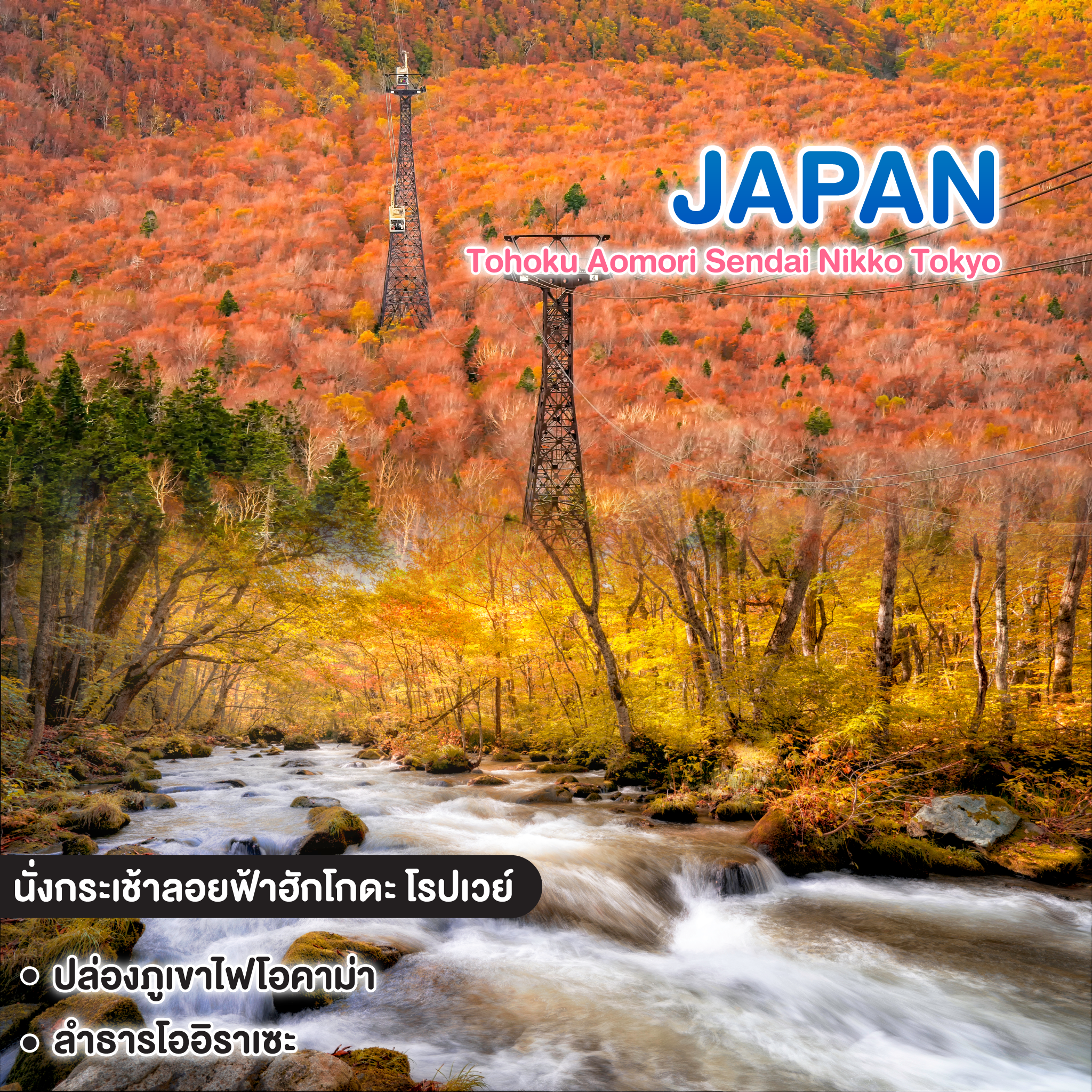 ทัวร์ญี่ปุ่น Tohoku Aomori Sendai Nikko Tokyo