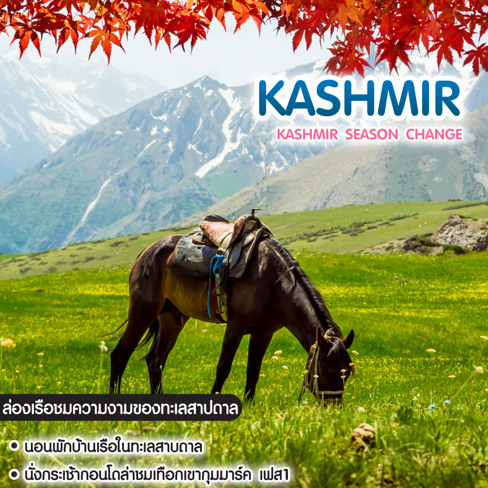 ทัวร์แคชเมียร์ Kashmir Season Change **ไม่รวมค่าวีซ๋าออนไลน์**