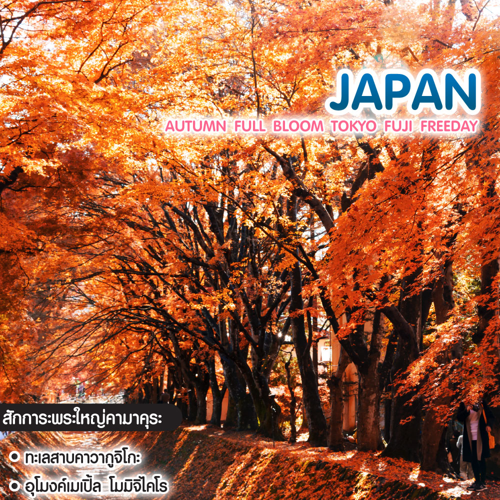 ทัวร์ญี่ปุ่น Autumn Full Bloom Tokyo Fuji Freeday