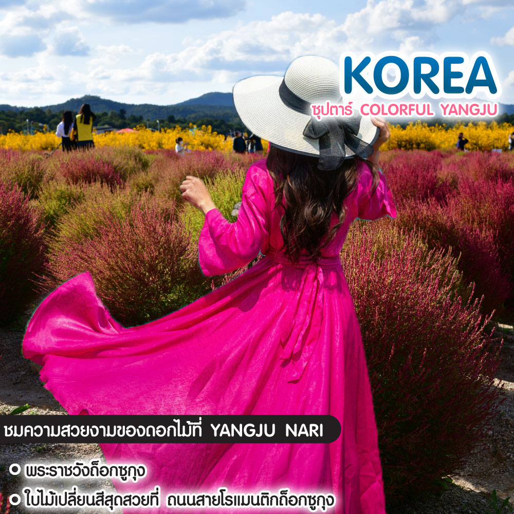 ทัวร์เกาหลี ซุปตาร์ Colorful Yangju