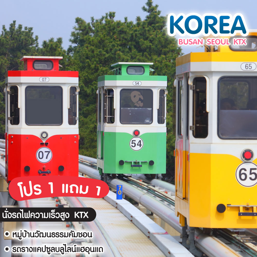 ทัวร์เกาหลี Busan - Seoul Platinum Package 