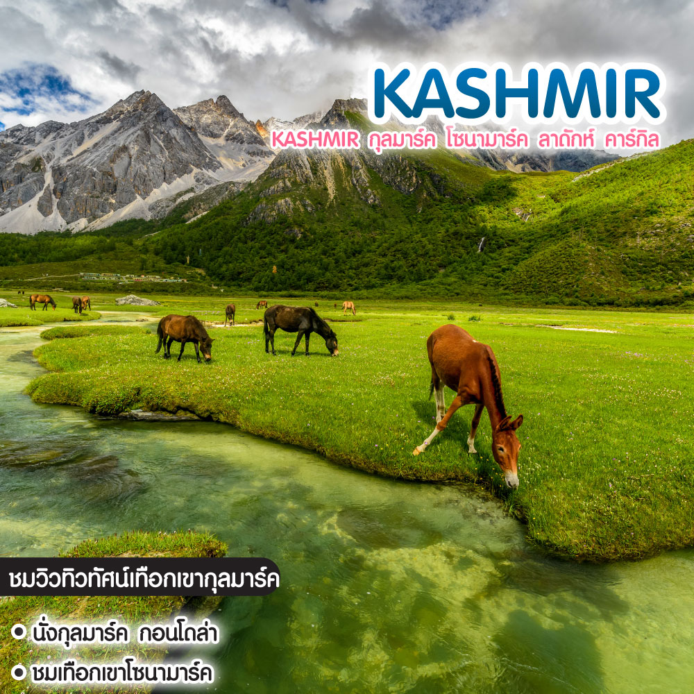 ทัวร์แคชเมียร์ Kashmir กุลมาร์ค โซนามาร์ค ลาดักห์ คาร์กิล