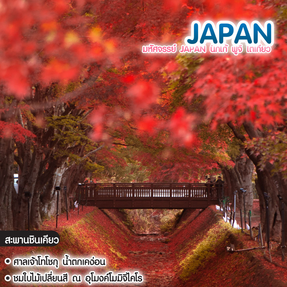 ทัวร์ญี่ปุ่น มหัศจรรย์ Japan นิกโก้ ฟูจิ โตเกียว