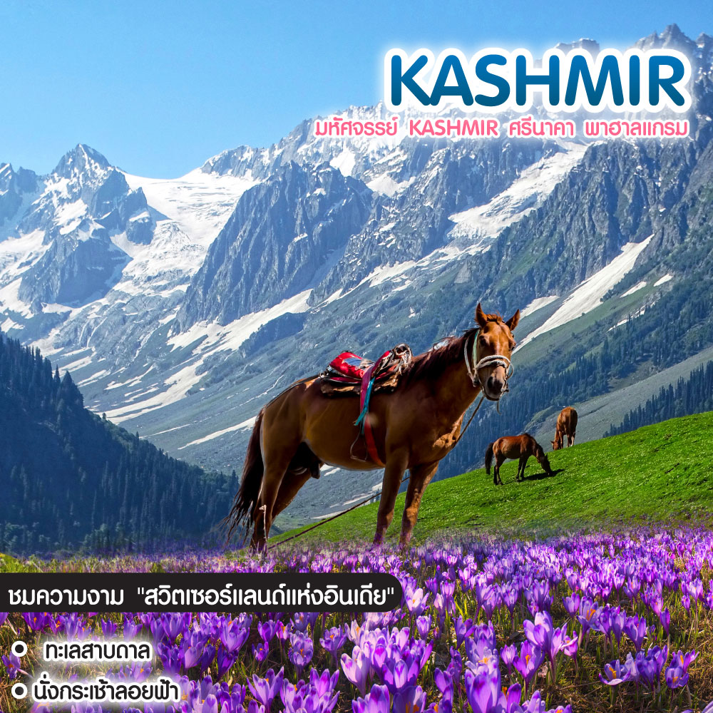 ทัวร์แคชเมียร์ มหัศจรรย์ Kashmir ศรีนาคา พาฮาลแกรม