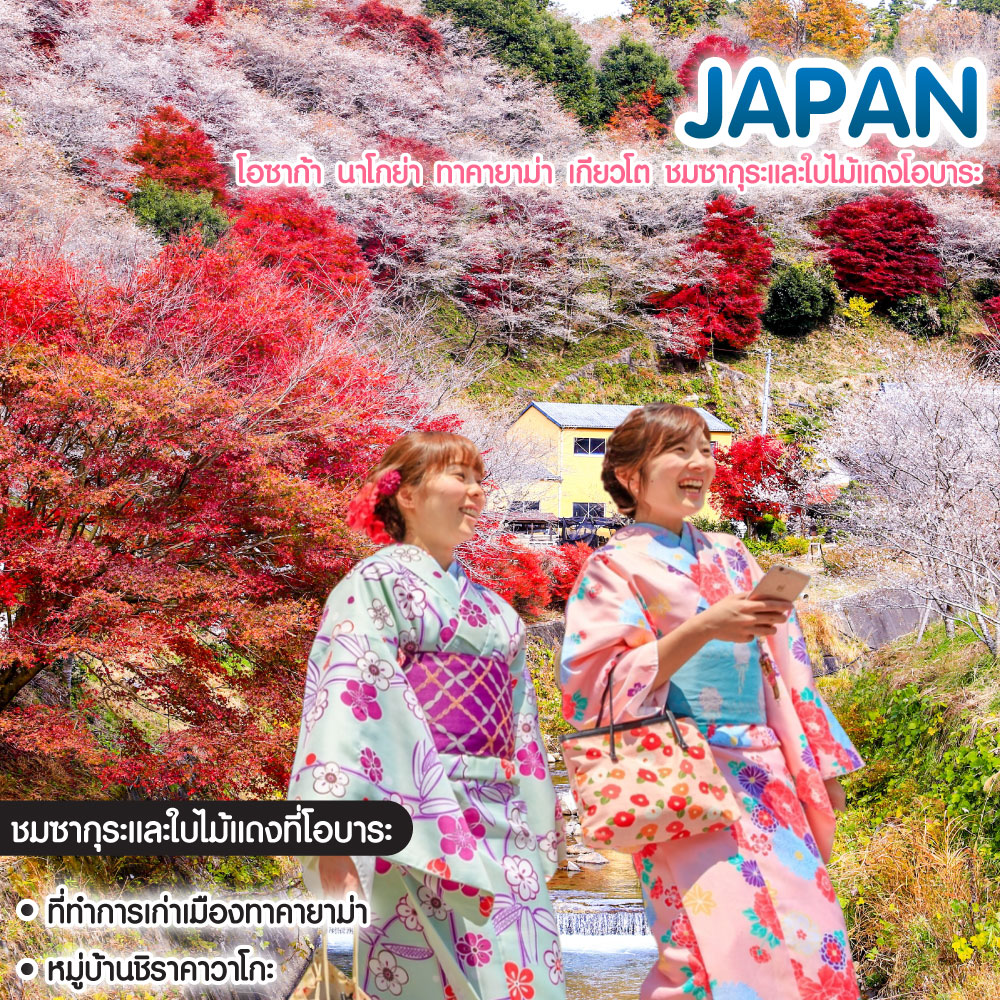 ทัวร์ญี่ปุ่น Japan โอซาก้า นาโกย่า ทาคายาม่า เกียวโต ชมซากุระและใบไม้แดงโอบาระ