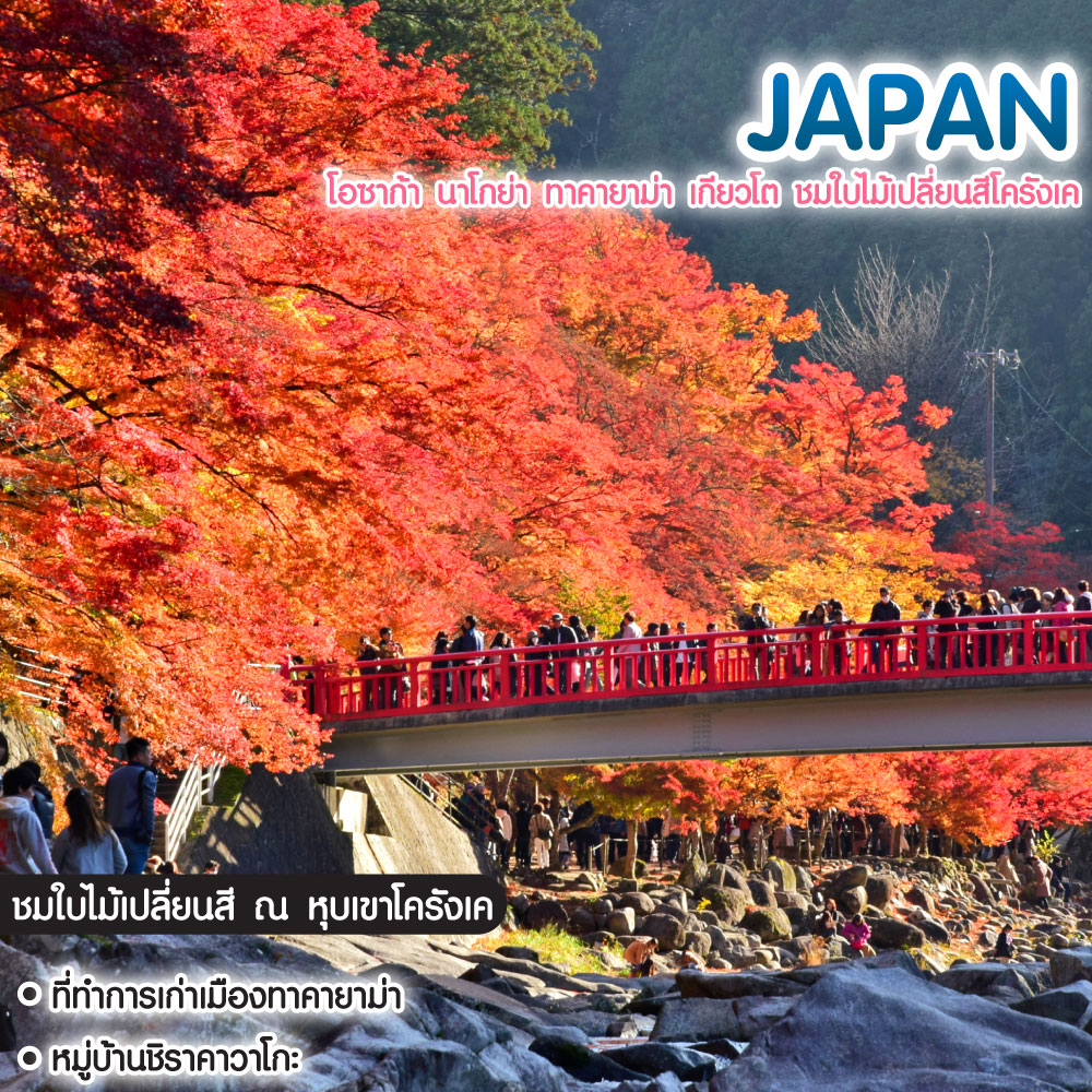 ทัวร์ญี่ปุ่น Japan โอซาก้า นาโกย่า ทาคายาม่า เกียวโต ชมใบไม้เปลี่ยนสีโครังเค