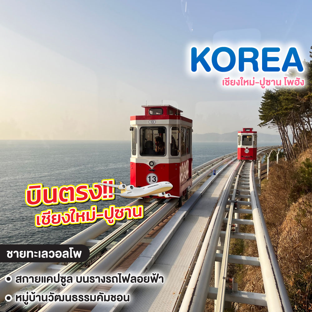ทัวร์เกาหลี เชียงใหม่-ปูซาน โพฮัง