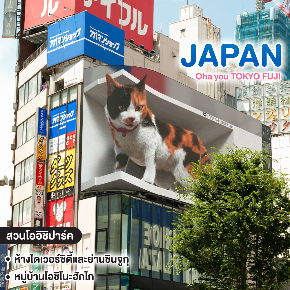 ทัวร์ญี่ปุ่น Oha..you TOKYO FUJI