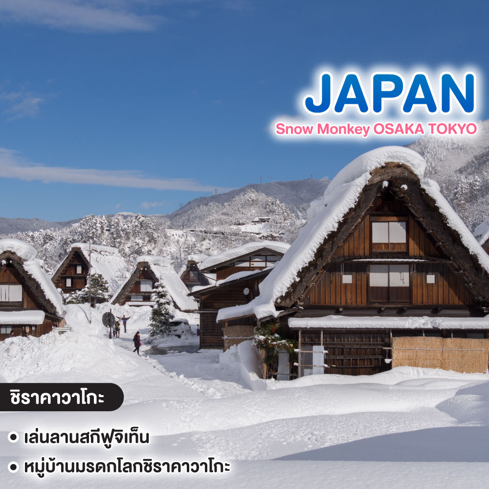 ทัวร์ญี่ปุ่น Snow Monkey OSAKA TOKYO โอซาก้า เกียวโต ชิราคาวาโกะ ฟูจิ โตเกียว