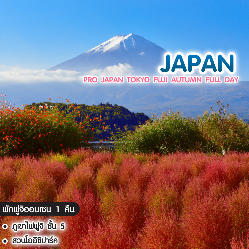ทัวร์ญี่ปุ่น Pro Japan Tokyo Fuji Autumn Full Day