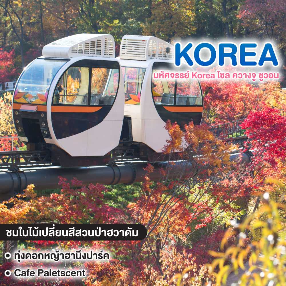 ทัวร์เกาหลี มหัศจรรย์ Korea โซล ควางจู ซูวอน