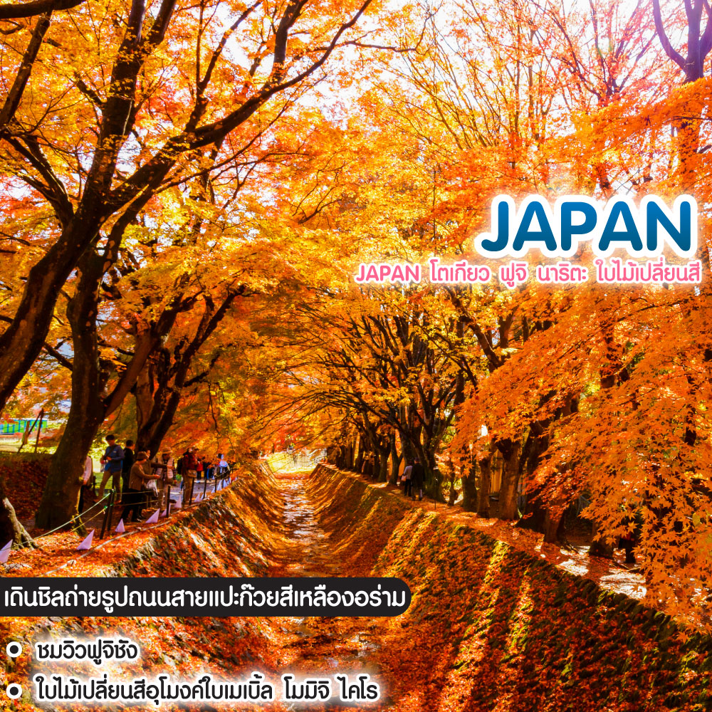 ทัวร์ญี่ปุ่น Japan โตเกียว ฟูจิ นาริตะ ใบไม้เปลี่ยนสี