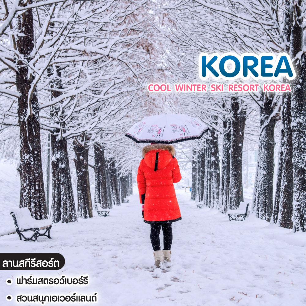 ทัวร์เกาหลี Cool Winter Ski Resort Korea โซล ซูวอน นามิ เอเวอร์แลนด์