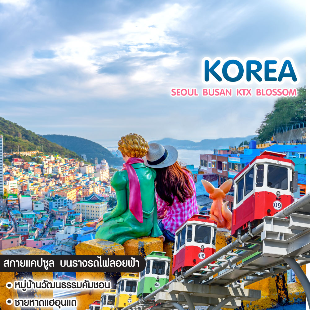 ทัวร์เกาหลี Seoul Busan KTX Blossom