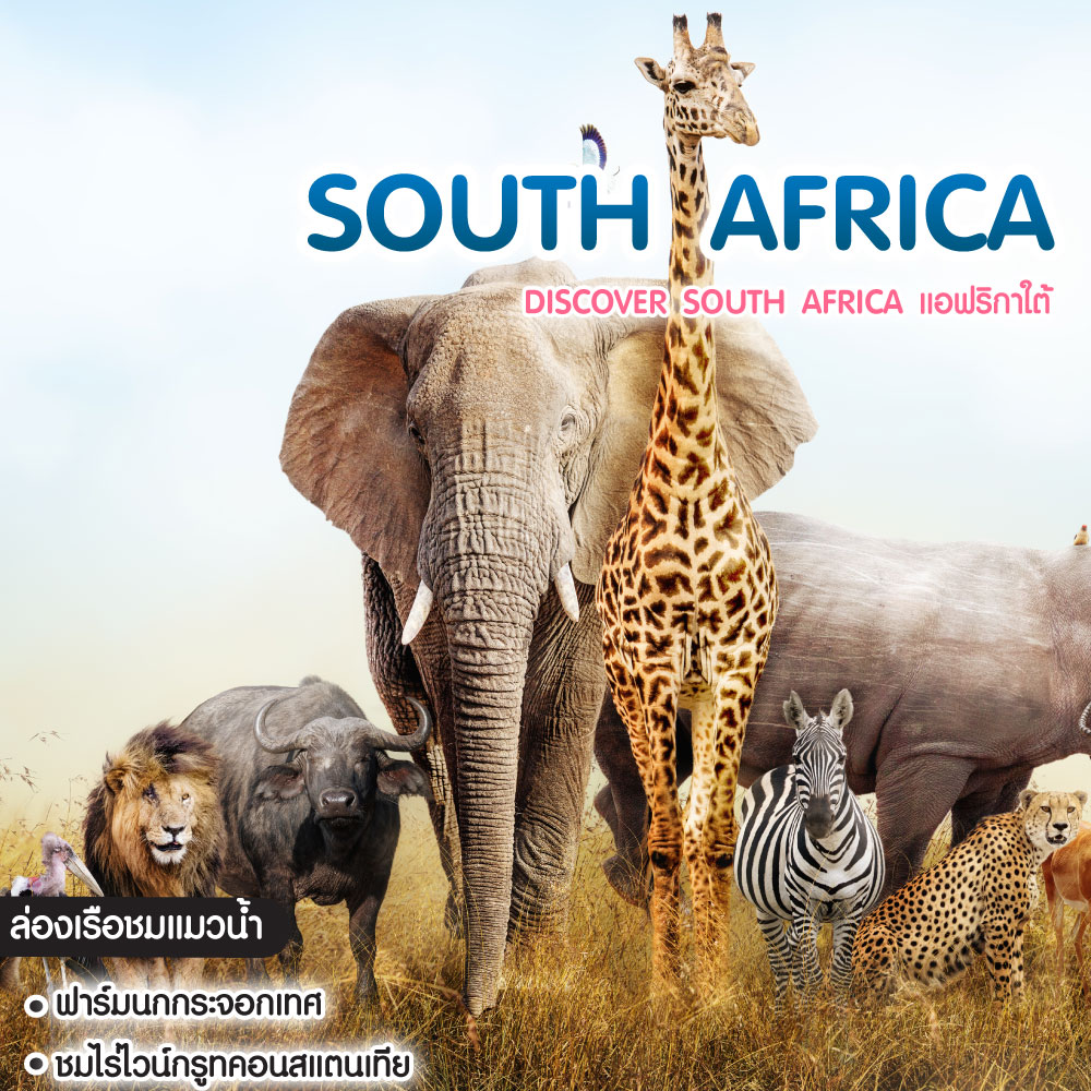 ทัวร์แอฟริกาใต้ Discover South Africa แอฟริกาใต้
