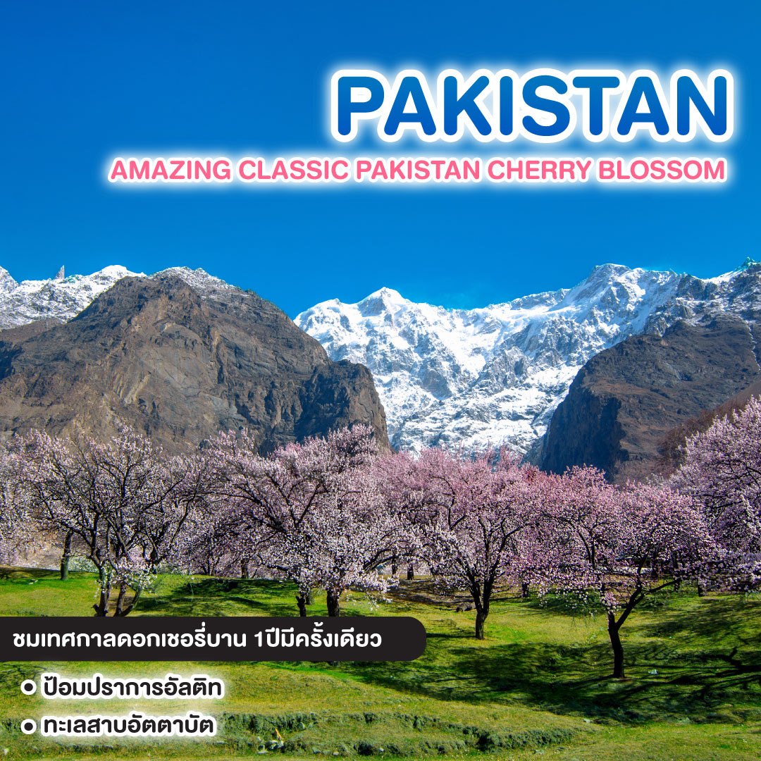 ทัวร์ปากีสถาน AMAZING CLASSIC PAKISTAN CHERRY BLOSSOM