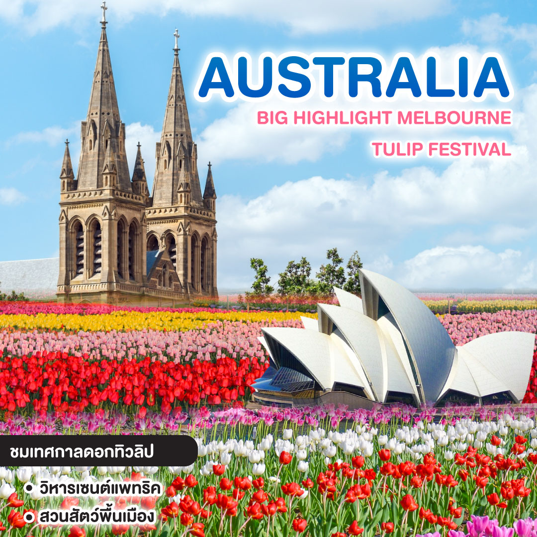 ทัวร์ออสเตรเลีย BIG HIGHLIGHT MELBOURNE TULIP FESTIVAL