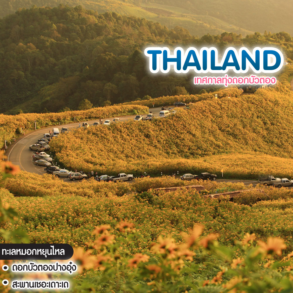 ทัวร์ไทย แม่ฮ่องสอน เทศกาลทุ่งดอกบัวตอง 