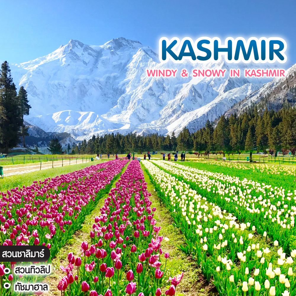 ทัวร์แคชเมียร์ WINDY & SNOWY IN KASHMIR แคชเมียร์ กุลมาร์ค โซมามาร์ค ทัชมาฮาล