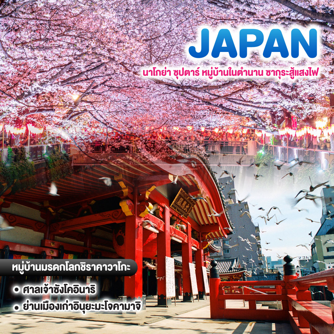 ทัวร์ญี่ปุ่น นาโกย่า ซุปตาร์ หมู่บ้านในตำนาน ซากุระสู้แสงไฟ
