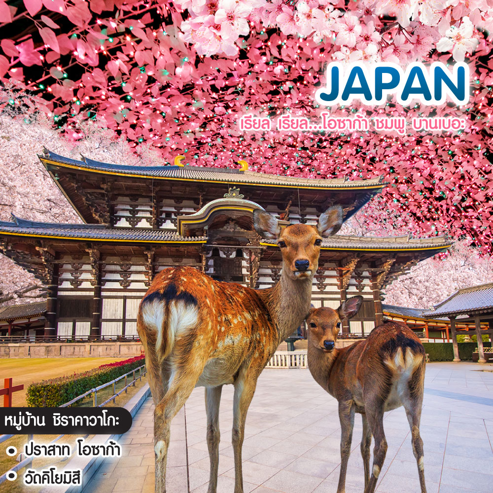 ทัวร์ญี่ปุุ่น OSAKA SAKURA NARA KYOTO SHIRAKAWAGO เรียล เรียล…โอซาก้า ชมพู บานเบอะ