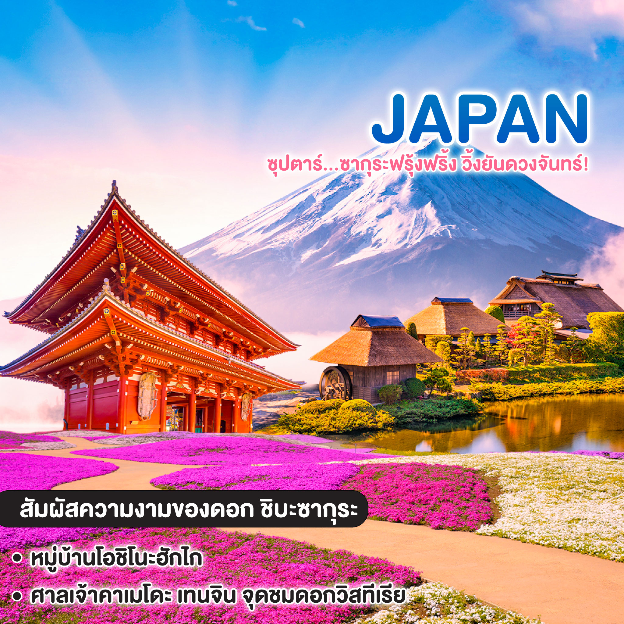 ทัวร์ญี่ปุ่น Tokyo Fuji Shibazakura Freeday ซุปตาร์...ซากุระฟรุ้งฟริ้ง วิ้งยันดวงจันทร์!