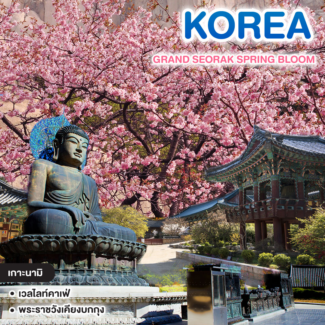 ทัวร์เกาหลี GRAND SEORAK SPRING BLOOM