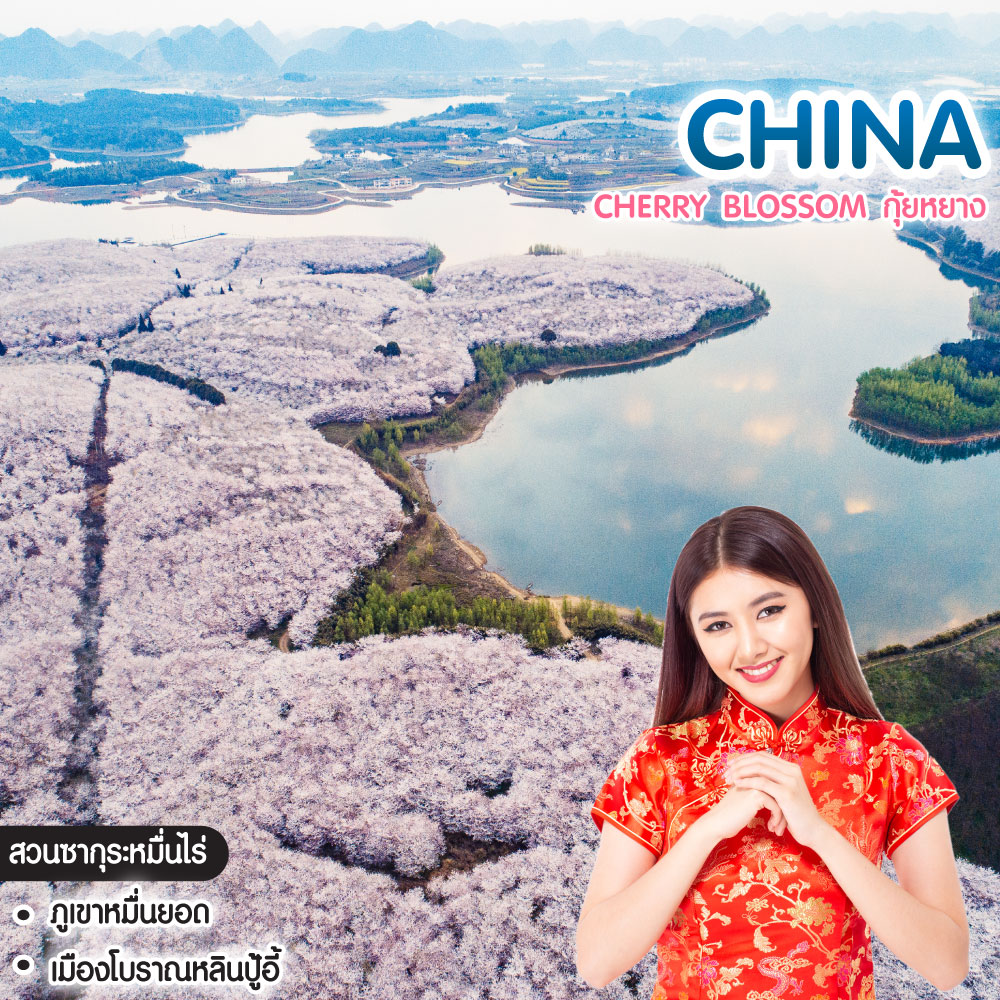 ทัวร์จีน CHERRY BLOSSOM กุ้ยหยาง สวนซากุระผิงป้า