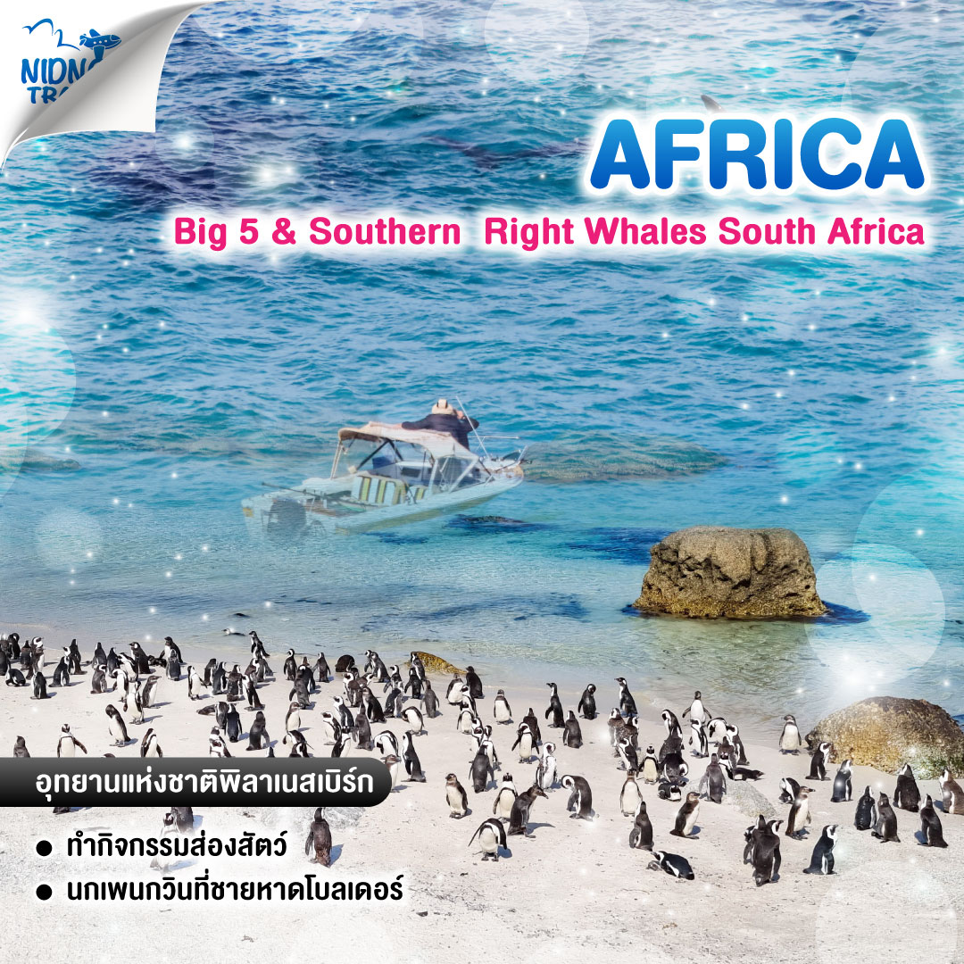 ทัวร์แอฟริกา Big 5 & Southern Right Whales South Africa