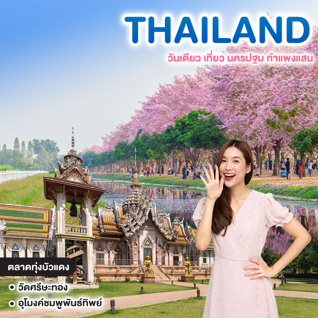 ทัวร์ไทย วันเดียว เที่ยว นครปฐม กำแพงแสน เที่ยวกำแพงแสน ดูถนนสีชมพู ชมพูพันธุ์ทิพย์