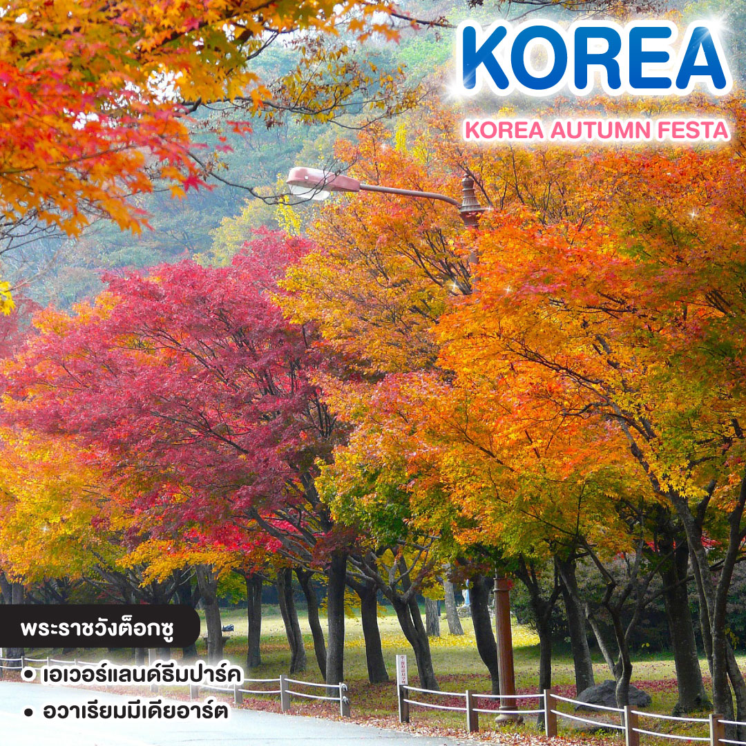 ทัวร์เกาหลี KOREA AUTUMN FESTA