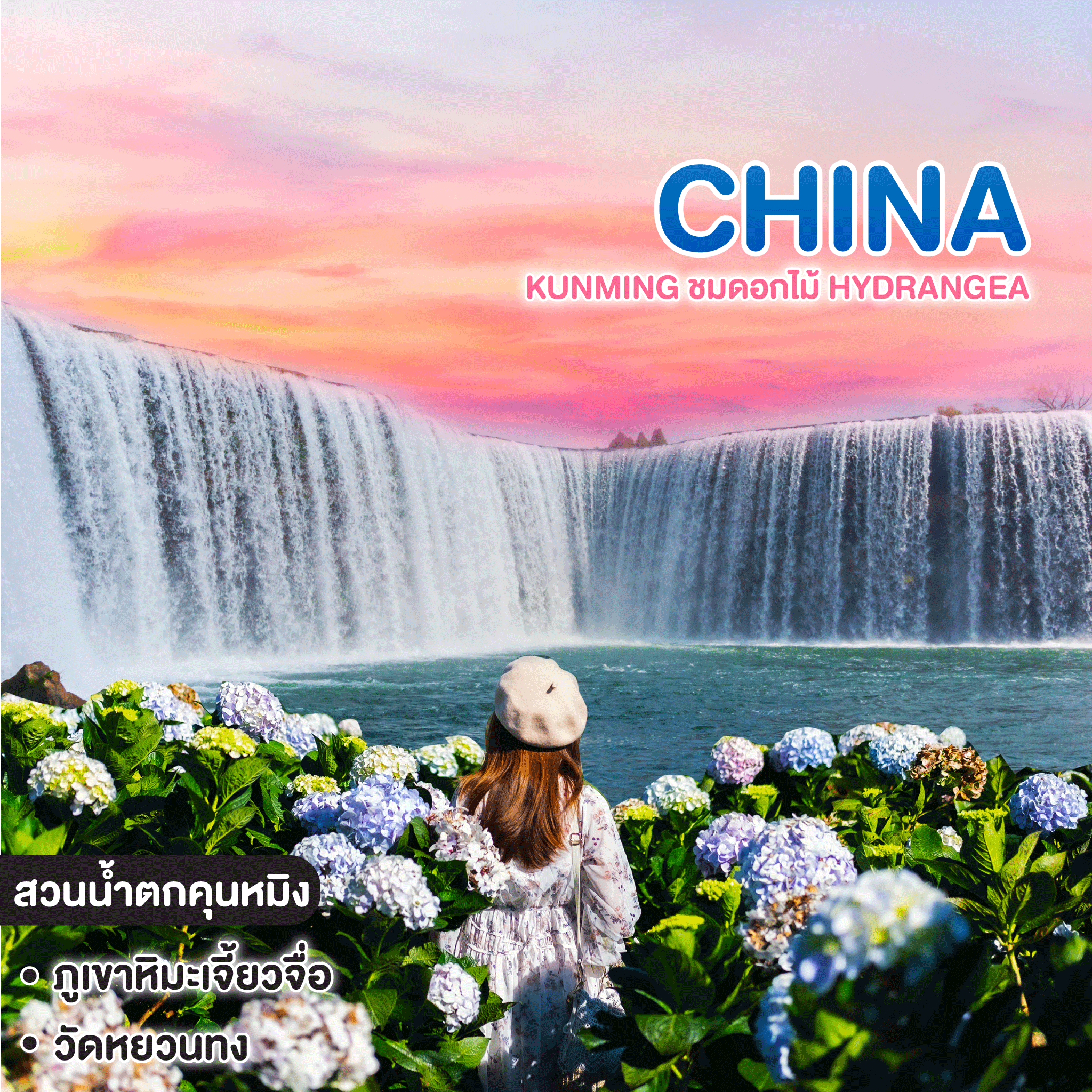 ทัวร์จีน KUNMING ชมดอกไม้ Hydrangea