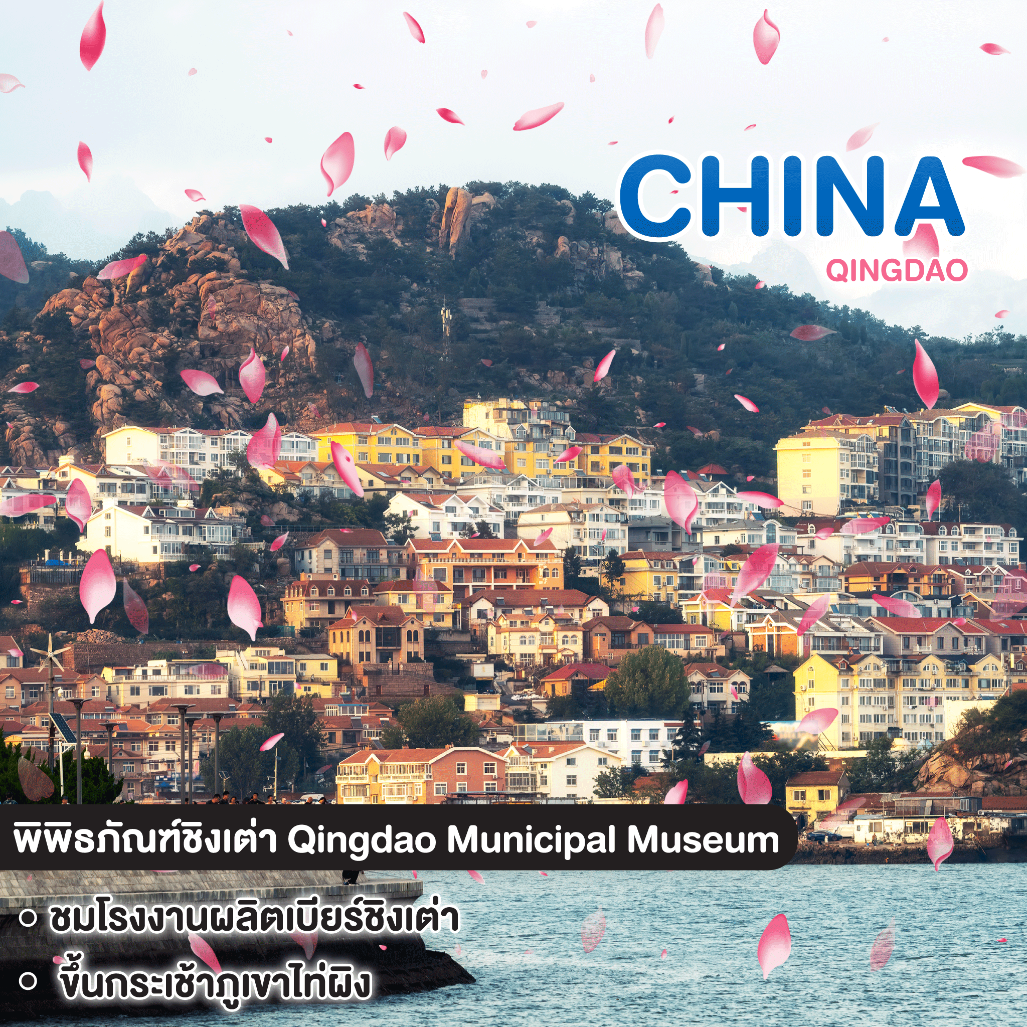 ทัวร์จีน Qingdao ชิงเต่า 