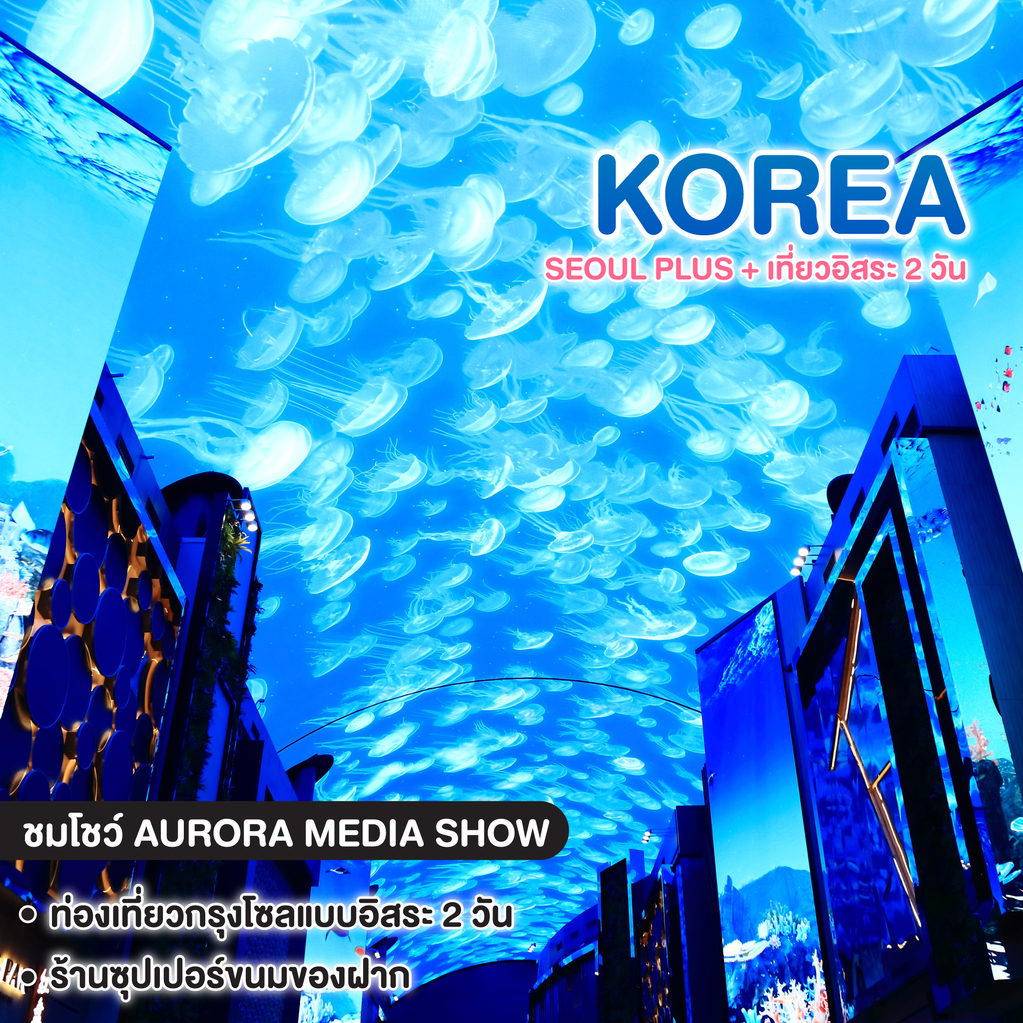 ทัวร์เกาหลี SEOUL PLUS + เที่ยวอิสระ 2 วัน