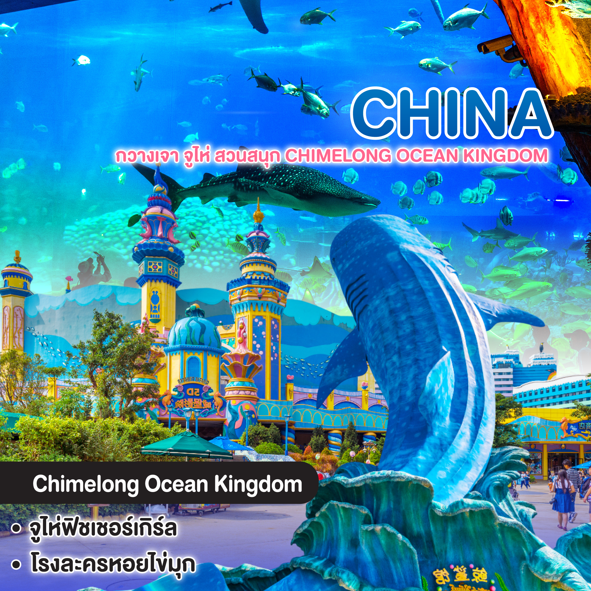 ทัวร์จีน CHINA GUANGZHOU กวางเจา จูไห่ สวนสนุก CHIMELONG OCEAN KINGDOM