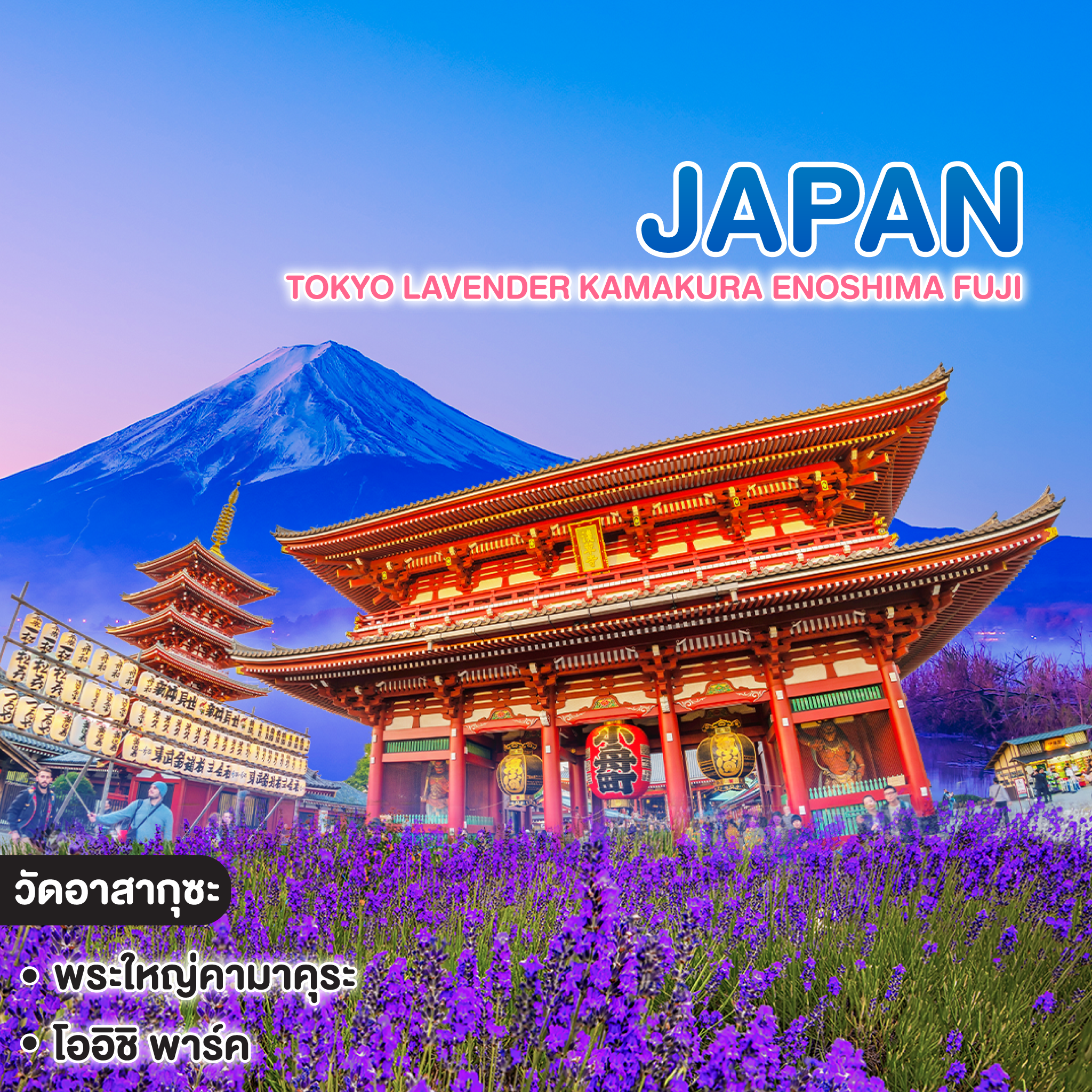 ทัวร์ญี่ปุ่น TOKYO LAVENDER KAMAKURA ENOSHIMA FUJI ทัวร์ เรียล เรียล...โตเกียว ประกายม่วง วิถีเกาะเอโนชิมะ