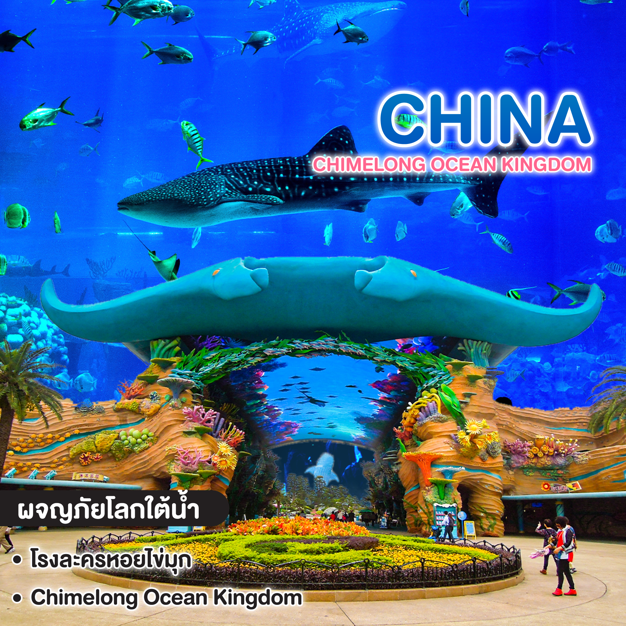 ทัวร์จีน "กวางโจว & จูไห่" CHIMELONG Ocean Kingdom
