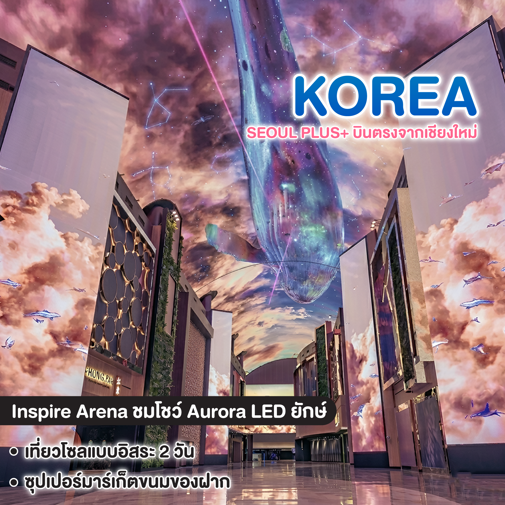 ทัวร์เกาหลี SEOUL PLUS+ บินตรงจากเชียงใหม่ 