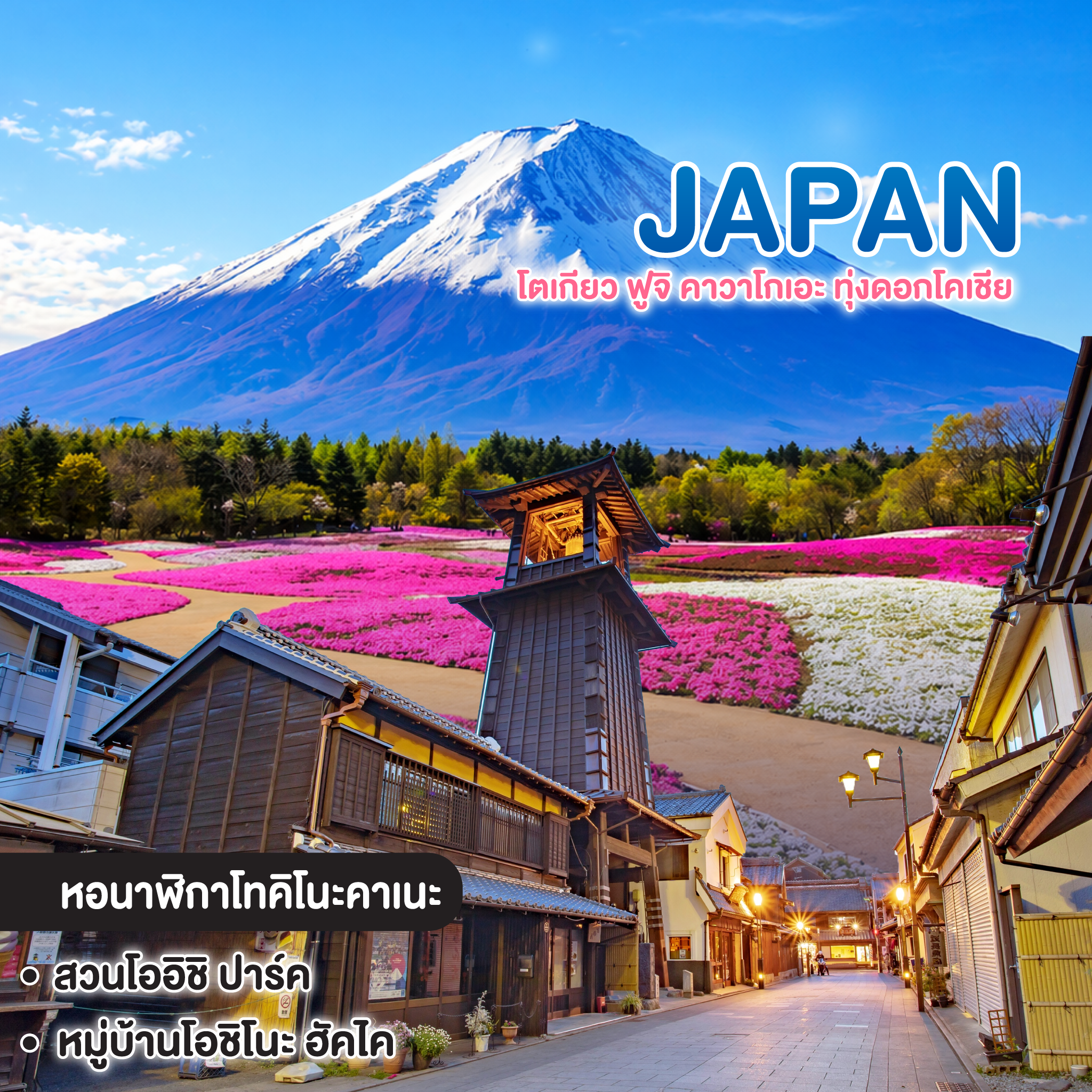 ทัวร์ญี่ปุ่น TOKYO โตเกียว ฟูจิ คาวาโกเอะ ทุ่งดอกโคเชีย