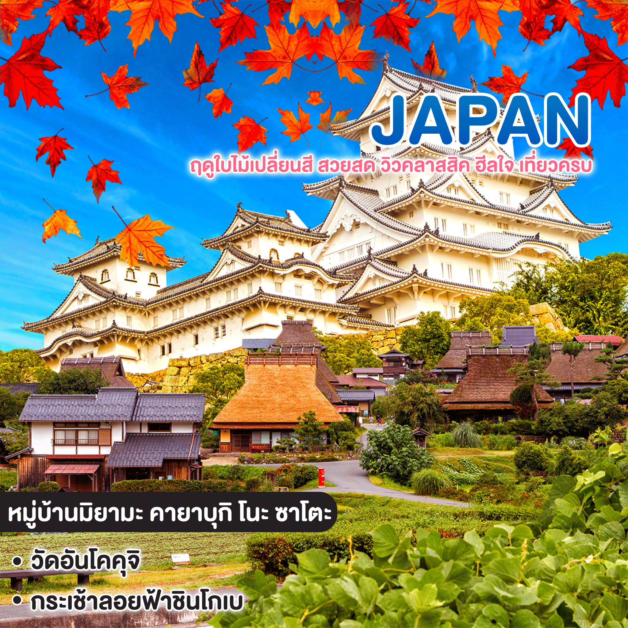 ทัวร์ญี่ปุ่น ฤดูใบไม้เปลี่ยนสี สวยสด วิวคลาสสิค ฮีลใจ เที่ยวครบ