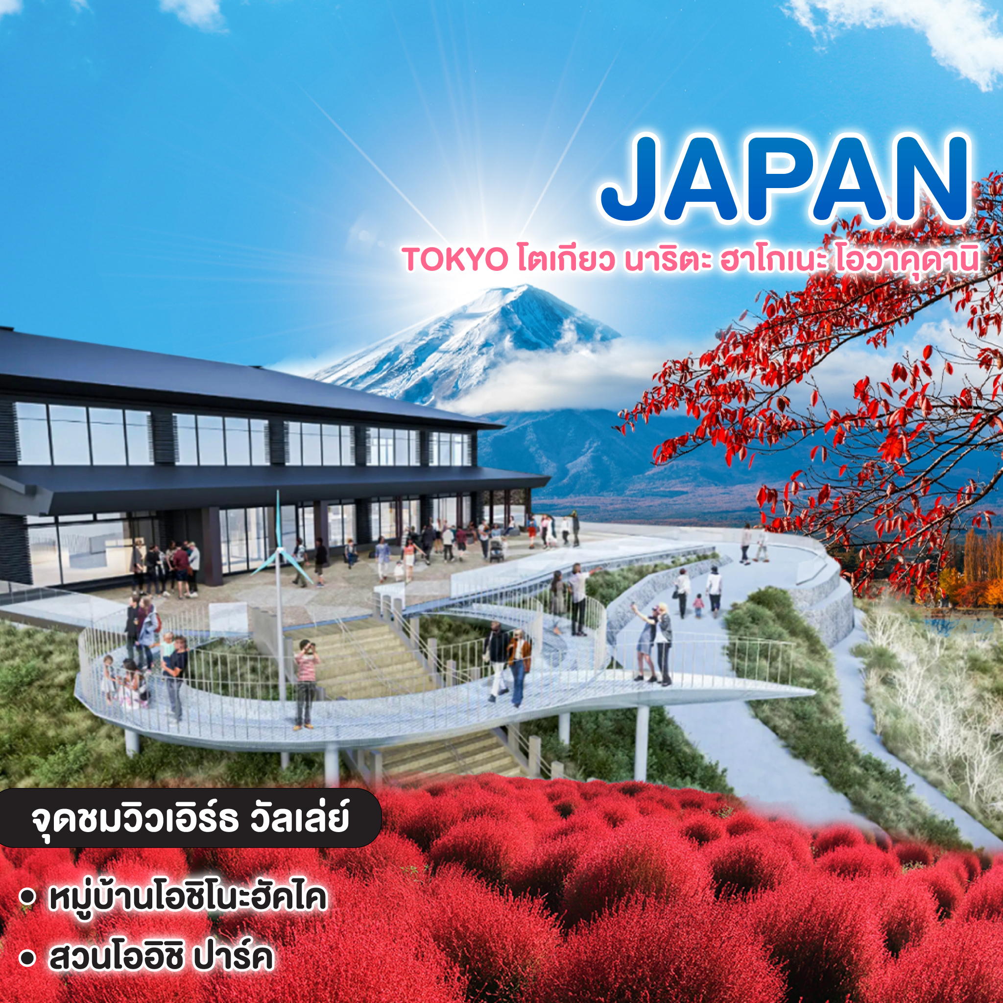 ทัวร์ญี่ปุ่น TOKYO โตเกียว นาริตะ ฮาโกเนะ โอวาคุดานิ