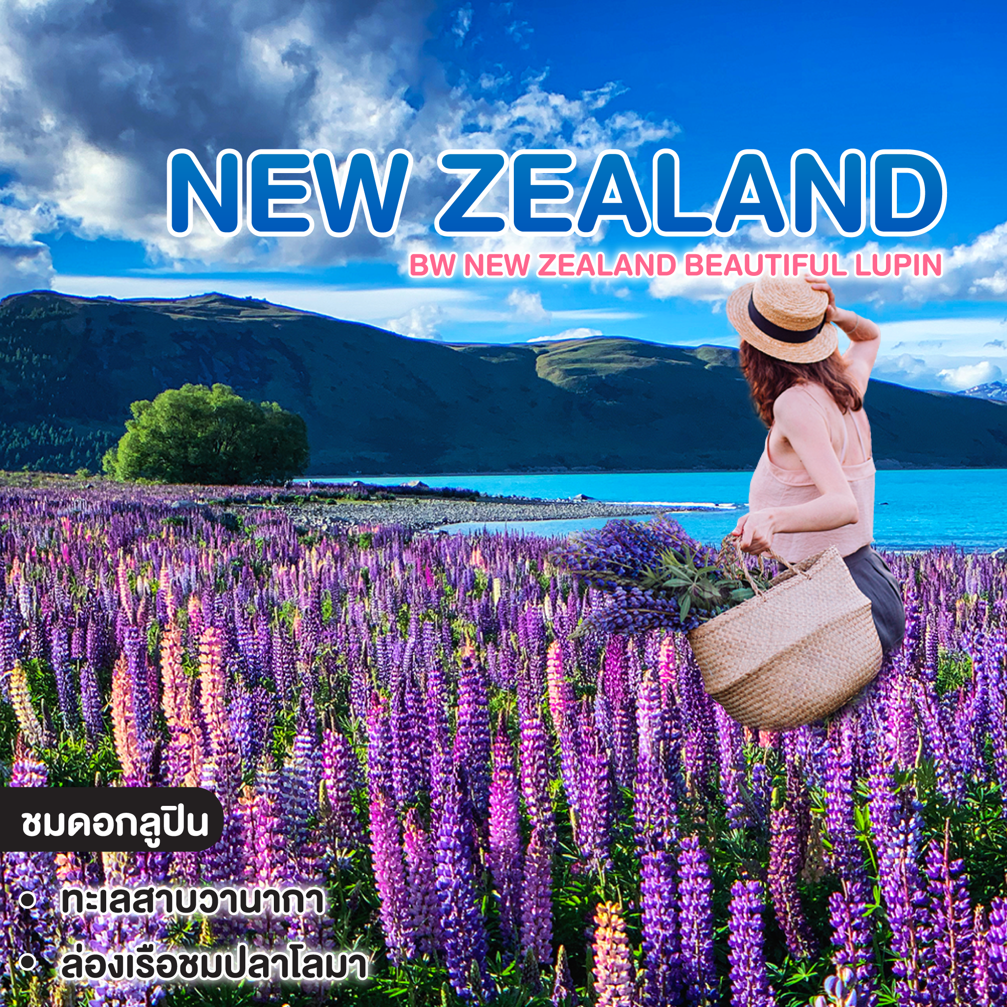 ทัวร์นิวซีแลนด์ BW New Zealand Beautiful Lupin